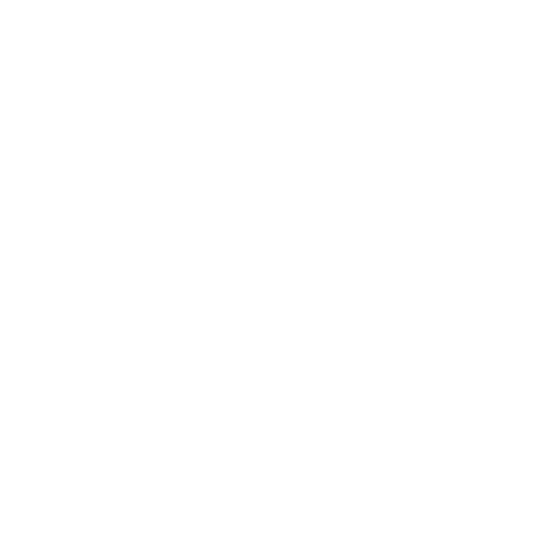 icons8 password 100
